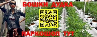 spice Коммунар