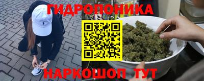 spice Коммунар